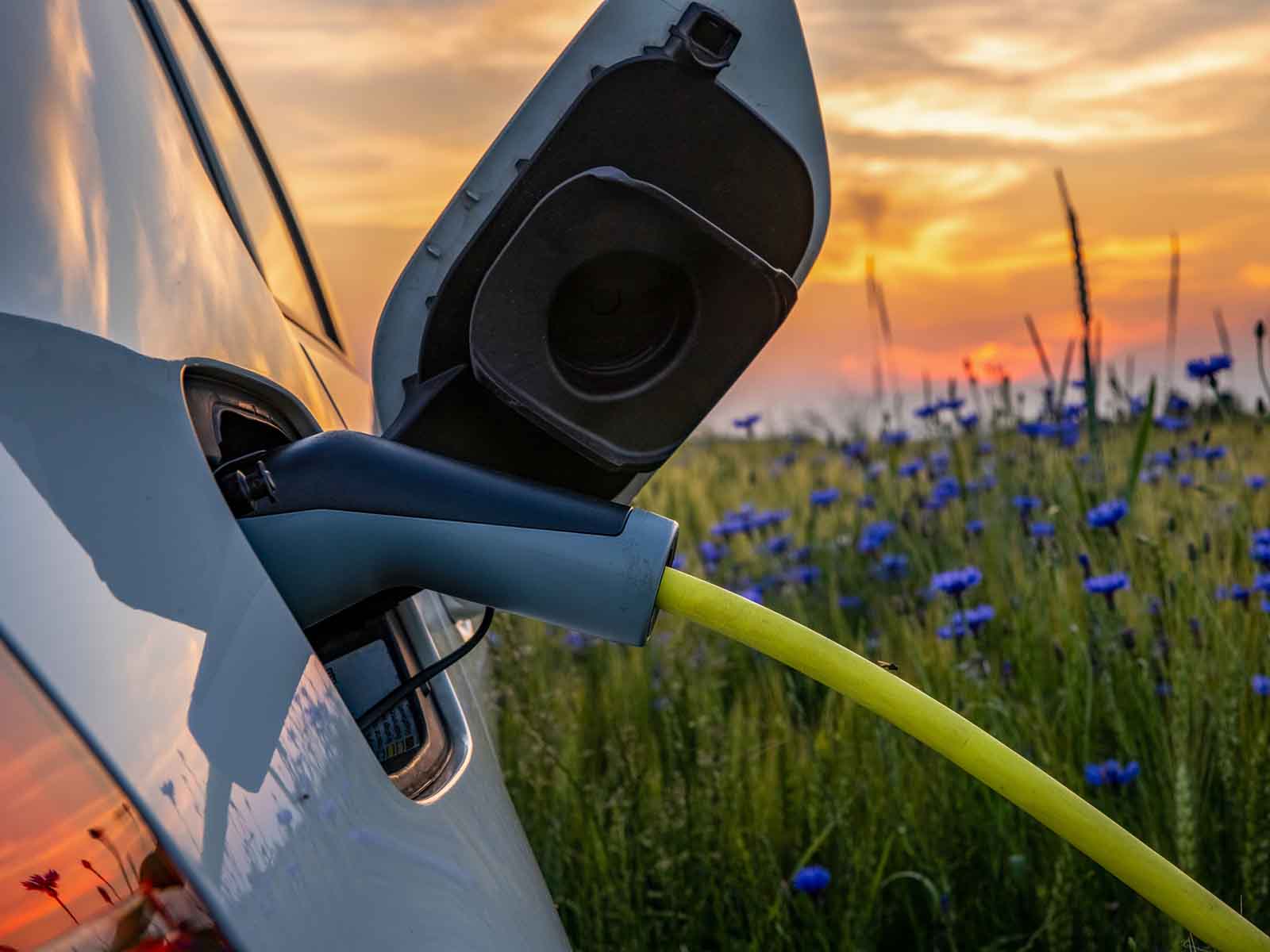 Elbil lader ved kornmark ved solnedgang