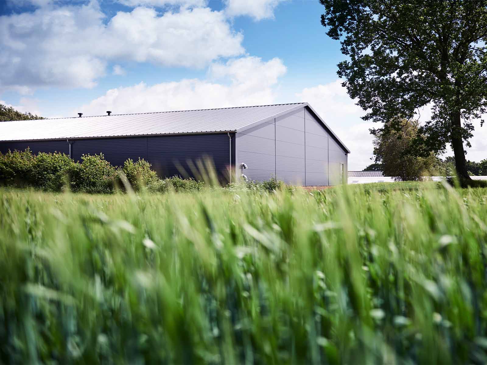 Lade står på en mark