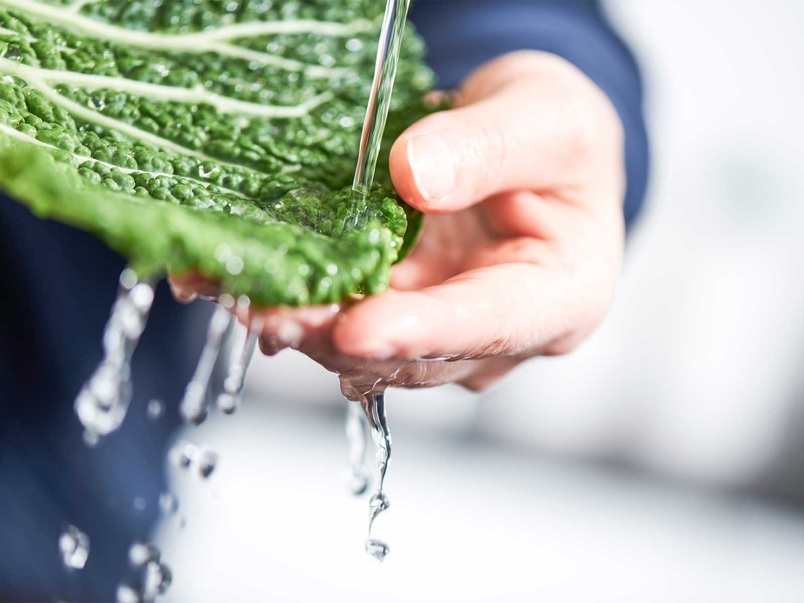 Salat bliver skyllet under vandhanen.