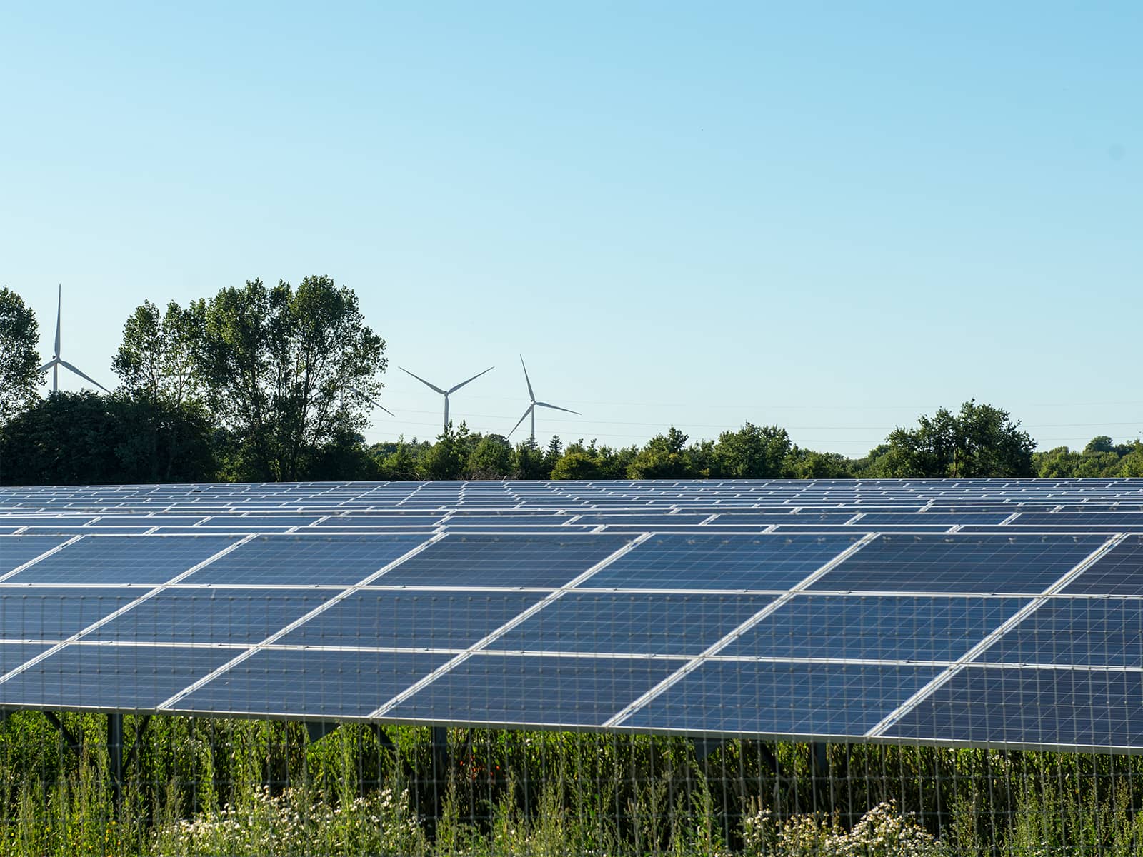Et solcelle- og vindmølleanlæg. Få vedvarende energi med en PPA aftale.