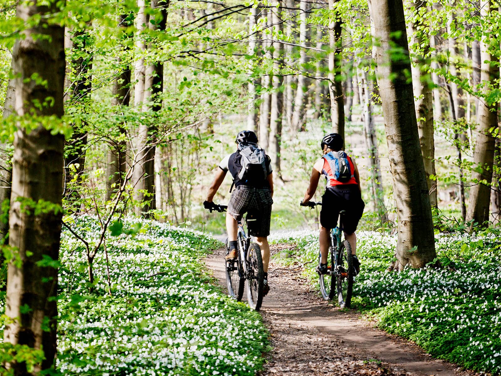 Det er forår, og mand og kvinde cykler på mountainbike i skoven.