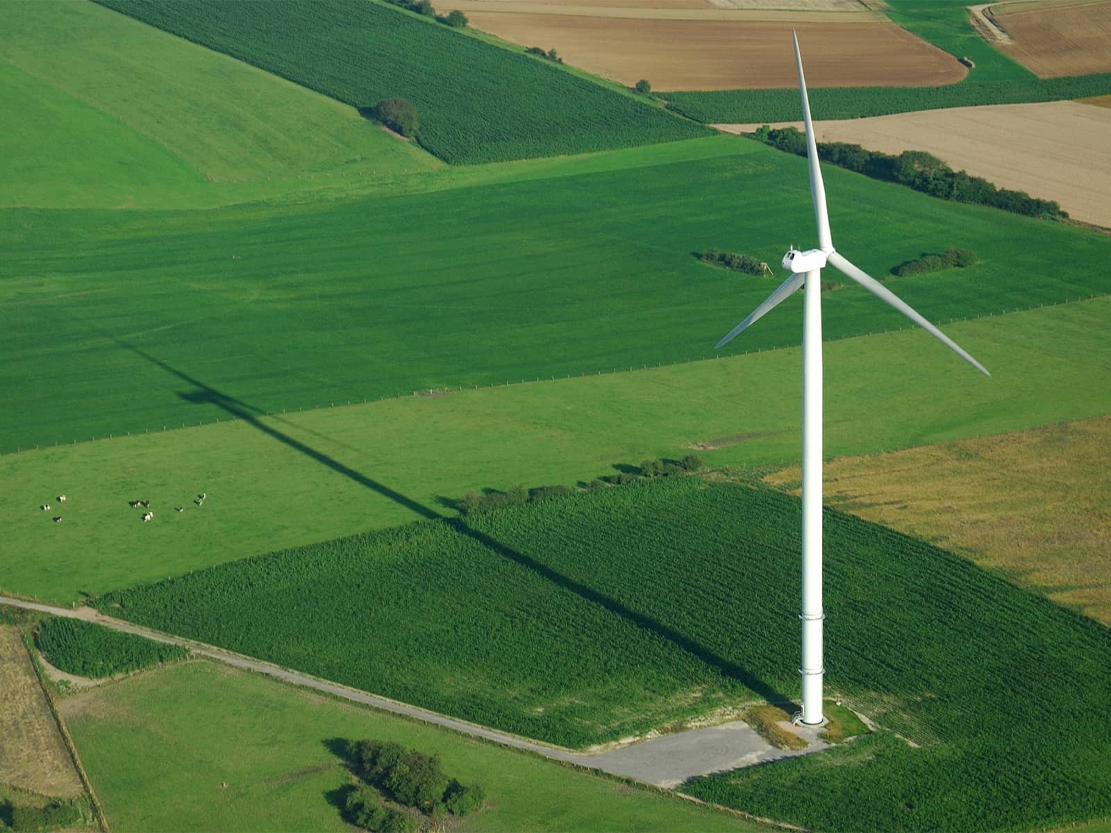 Vindmølle på mark. Hos EWII tilbyder vi også grøn byggestrøm - 100 % certificeret fra vedvarende energikilder.