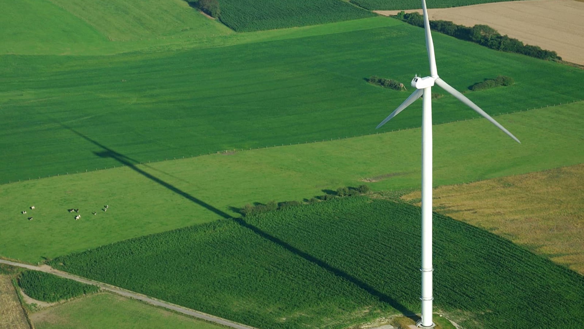 Grøn strøm til erhverv fra grønne energikilder som for eksempel vindmøller.