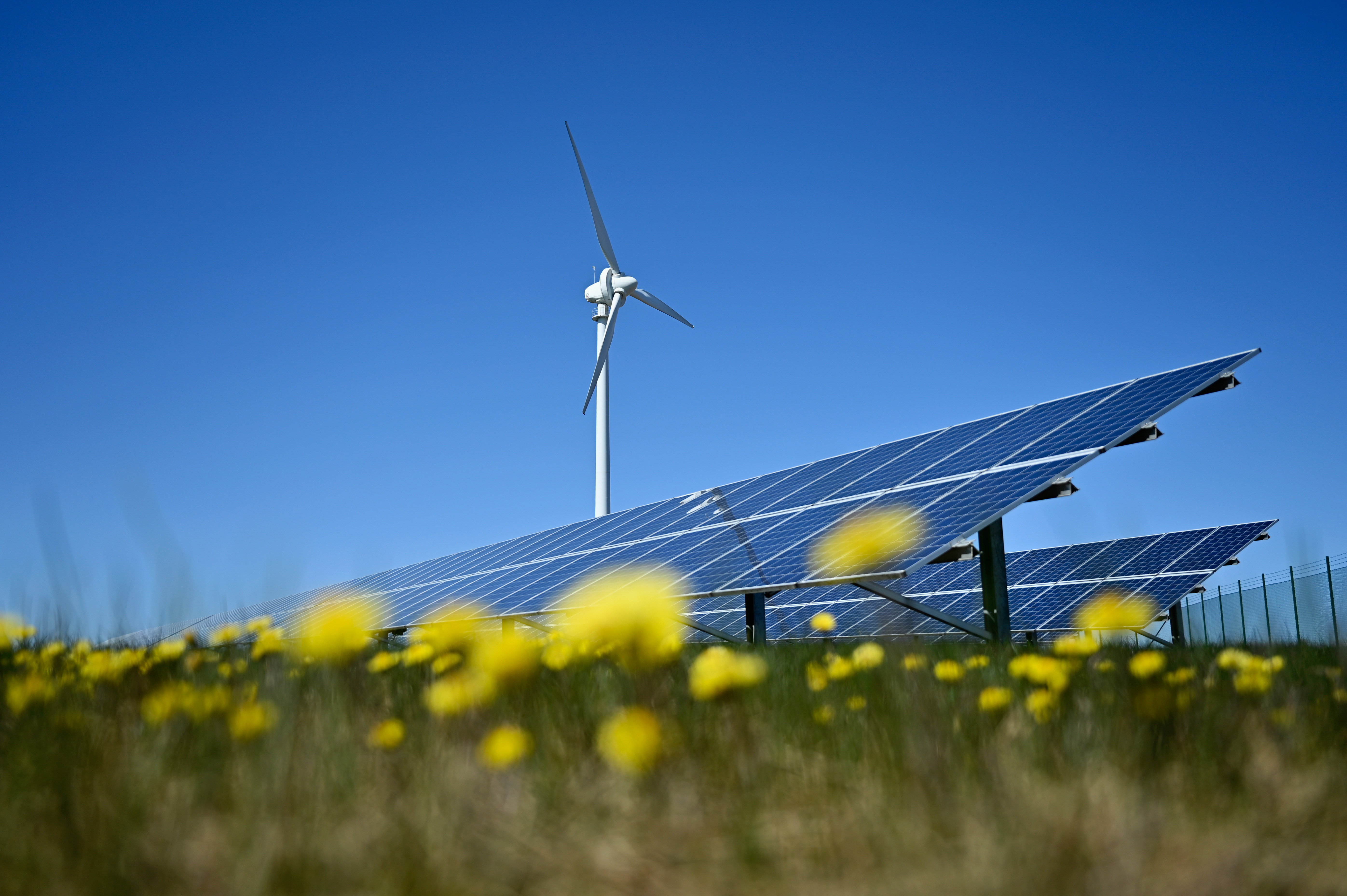 Solcelleanlæg og vindmøllepark i Danmark